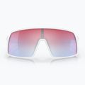 Oakley Sutro sunglasses 2