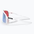 Oakley Sutro sunglasses 3