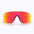Oakley Sutro Lite matte white/prizm ruby sunglasses 2