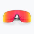 Oakley Sutro Lite matte white/prizm ruby sunglasses 5
