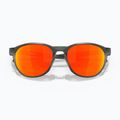 Oakley Reedmace matte grey smoke/prizm ruby fleece sunglasses 5