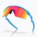 Oakley Resistor sky blue/prizm ruby children's sunglasses 5
