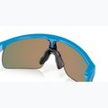 Oakley Resistor sky blue/prizm ruby children's sunglasses 8