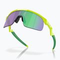 Oakley Resistor retina burn/prizm jade children's sunglasses 5