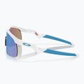 Oakley Resistor polished white/prism sapphire children's sunglasses 6