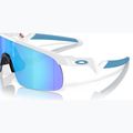 Oakley Resistor polished white/prism sapphire children's sunglasses 7