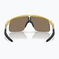 Oakley Resistor gold/prizm 24k children's sunglasses 3