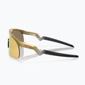 Oakley Resistor gold/prizm 24k children's sunglasses 6