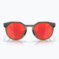 Oakley Hstn matte carbon/prizm ruby sunglasses 6