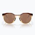 Oakley Hstn dark amber/light curry sunglasses 7