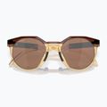 Oakley Hstn dark amber/light curry sunglasses 10