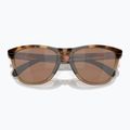 Oakley Frogskins Range brown tortoise/brown smoke sunglasses 5