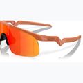 Oakley Resistor ginger/prizm ruby children's sunglasses 6