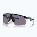 Oakley Resistor black/prizm grey children's sunglasses