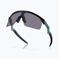 Oakley Resistor black/prizm grey children's sunglasses 4