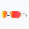 Oakley Lateralis Seek Collection matte vapor/prizm ruby polarized sunglasses