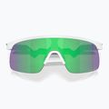 Oakley Resistor matte white/prizm jade children's sunglasses 3