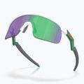 Oakley Resistor matte white/prizm jade children's sunglasses 4