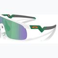 Oakley Resistor matte white/prizm jade children's sunglasses 6