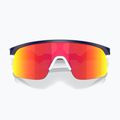 Oakley Resistor matte navy/prizm ruby children's sunglasses 4
