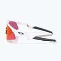 Children's sunglasses Oakley Resistor Sweep polished white/prizm field 5