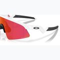 Children's sunglasses Oakley Resistor Sweep polished white/prizm field 6