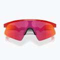 Oakley Resistor Sweep redline/prizm field children's sunglasses 3