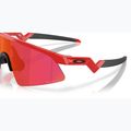Oakley Resistor Sweep redline/prizm field children's sunglasses 6
