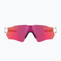Oakley Radar EV S Path sunglasses polished white/prizm field 2