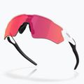 Oakley Radar EV S Path sunglasses polished white/prizm field 4