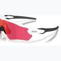 Oakley Radar EV S Path sunglasses polished white/prizm field 6
