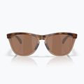 Sunglasses Oakley Frogskins Range XL brown tortoise/brown smoke 2