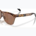 Sunglasses Oakley Frogskins Range XL brown tortoise/brown smoke 6