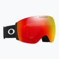 Ski goggles Oakley Flight Deck Pro L matte black/prizm sage gold/prizm iced 7
