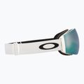 Ski goggles Oakley Flight Deck Pro M matte white/prizm sapphire/prizm iced 11