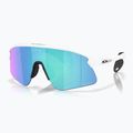 Sunglasses Oakley Stunt Devil matte white/prizm sapphire