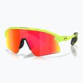 Sunglasses Oakley Stunt Devil matte uranium/prizm ruby 6