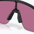 Sunglasses Oakley Stunt Devil matte black/prizm road 7
