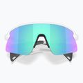 Sunglasses Oakley Stunt Devil S matte white/prizm sapphire 5