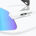 Sunglasses Oakley Stunt Devil S matte white/prizm sapphire 6