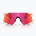 Sunglasses Oakley Stunt Devil S matte clear/prizm field 2