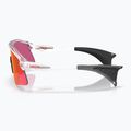 Sunglasses Oakley Stunt Devil S matte clear/prizm field 5