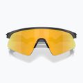 Children's sunglasses Oakley Resistor Sweep polished matte black/prizm 24k 3