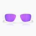 Sunglasses Oakley Instagator matte clear 2