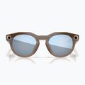 Glasses with a camera Oakley Meta HSTN brown smoke/prizm deep water polarized 3