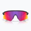 Sunglasses Oakley Stunt Devil A matte black/prizm road 2