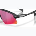 Sunglasses Oakley Stunt Devil A matte black/prizm road 6
