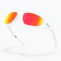 Sunglasses Oakley Neoforma matte clear 4