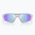 Sunglasses Oakley Neoforma x-silver 2