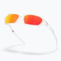Sunglasses Oakley Terraforma matte clear 4